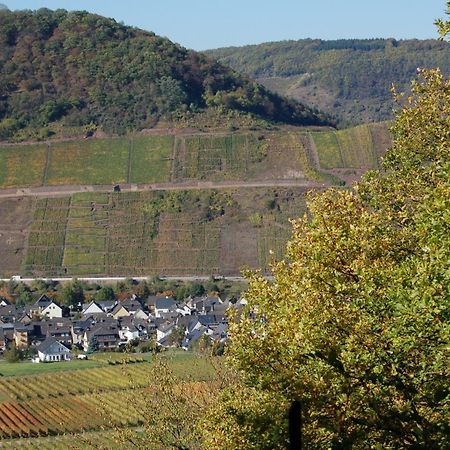 Ferienhaus Mosel Bub Бруттіґ-Фанкель Екстер'єр фото
