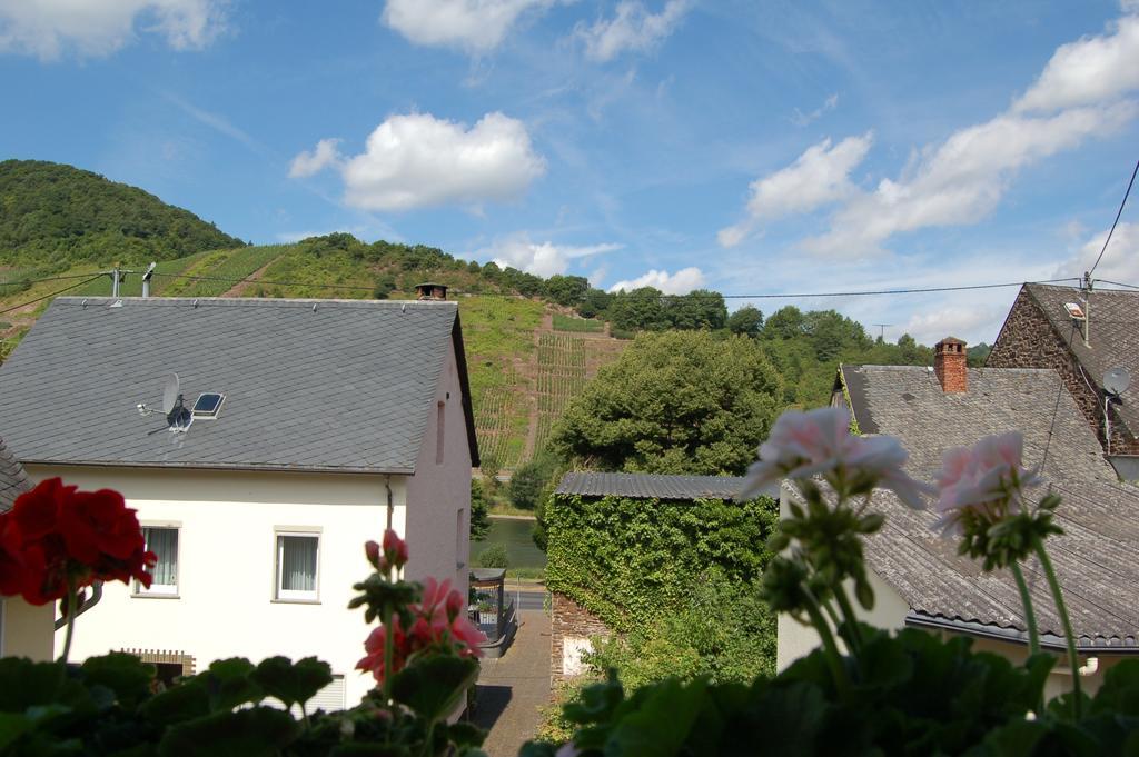Ferienhaus Mosel Bub Бруттіґ-Фанкель Номер фото