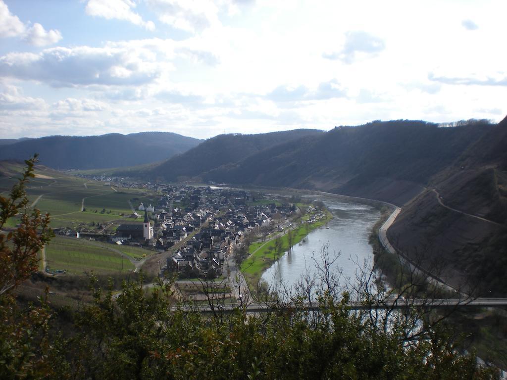Ferienhaus Mosel Bub Бруттіґ-Фанкель Номер фото